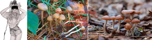 гашишное масло Алексин
