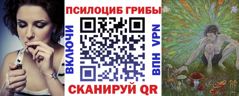 Галлюциногенные грибы прущие грибы  Купить  Алзамай 