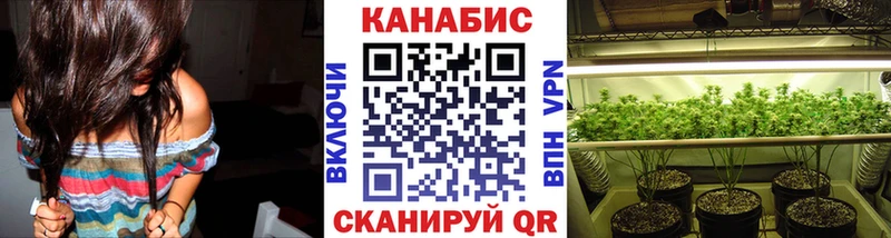 Купить где  Алзамай  Бошки марихуана SATIVA & INDICA 