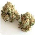 Шишки "White Widow"  (Белая вдова)  Гидропоника -  Бошка VHQ в Алзамае